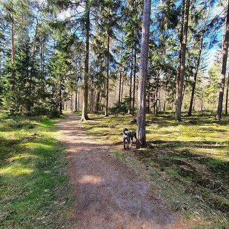 Ferienwohnung Schuberski Lipperreihe Экстерьер фото
